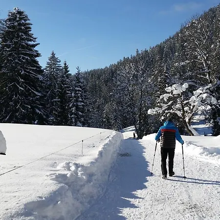 Alpin - Partenkirchen * Garmisch-Partenkirchen